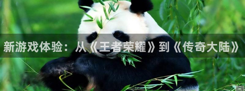 杏鑫娱乐：新游戏体验：从《王者荣耀》到《传奇大陆》