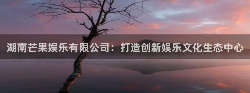 杏鑫娱乐：湖南芒果娱乐有限公司：打造创新娱乐文化生态中心