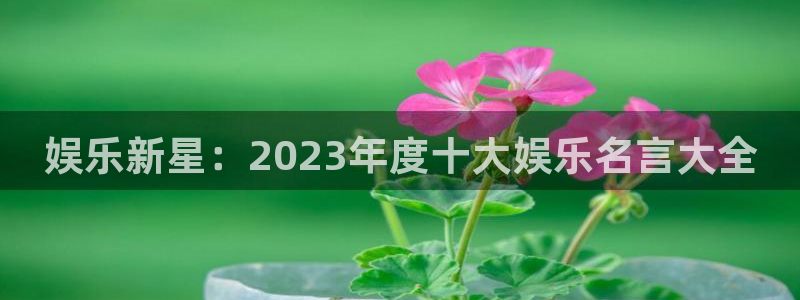 杏鑫娱乐：娱乐新星：2023年度十大娱乐名言大全