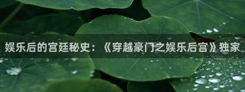 杏鑫娱乐：娱乐后的宫廷秘史：《穿越豪门之娱乐后宫》独家