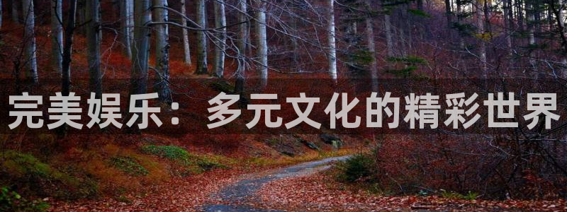 杏鑫娱乐：完美娱乐：多元文化的精彩世界