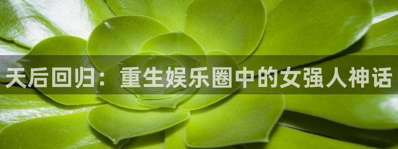 杏鑫娱乐：天后回归：重生娱乐圈中的女强人神话