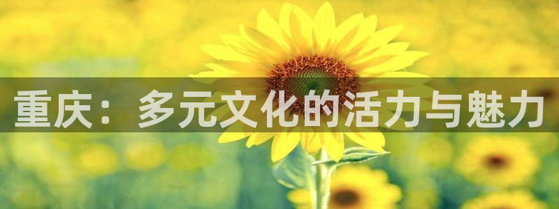杏鑫娱乐：重庆：多元文化的活力与魅力