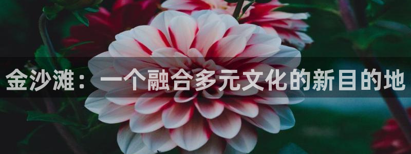 杏鑫娱乐