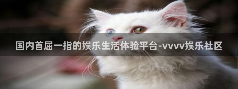 杏鑫娱乐：国内首屈一指的娱乐生活体验平台-vvvv娱乐社区