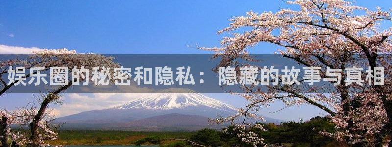 杏鑫娱乐：娱乐圈的秘密和隐私：隐藏的故事与真相