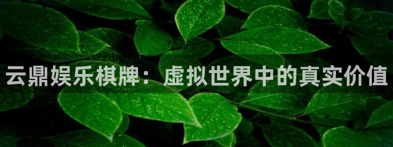 杏鑫娱乐