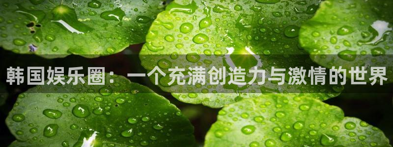 杏鑫娱乐：韩国娱乐圈：一个充满创造力与激情的世界